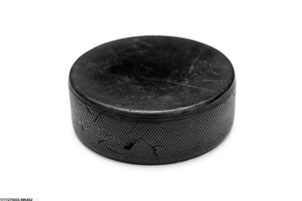 体育培训总结技巧与实用模板(图1)